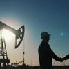 Oil company, Oil firms