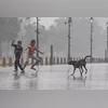 Chuva, Chuva, Monção, Nova Delhi Chuva Chuva, Chuva, Monção, Nova Delhi Chuva