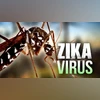 What are the neurological symptoms of Zika virus? Know the details Zika Virus
