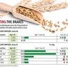 Wheat, pulses prices moderate after govt imposes stockholding limit