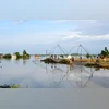 Hundreds displaced by floods in Tripura's Belonia, relief efforts underway | India News Flood, Assam Flood