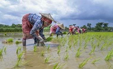 Budget for agri research needs to be doubled to widen impact: Paper Farmers, Farmer, agriculture