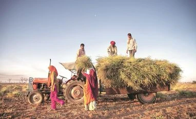 Govt launches satellite-based agricultural decision support system agriculture, farmers, crops, farming