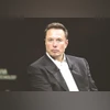 elon musk elon musk