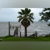Hurricane Melissa: Death toll rises to 45 in Jamaica, 15 still missing Hurricane Beryl, Beryl, Cyclone