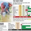 Agricultural input companies see demand surge as sowing gathers pace