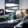 BYD, Tesla,EV market share in China, China's EV makers, Electric car makers