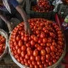 tomato