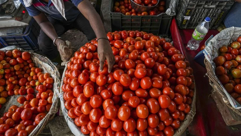 tomato tomato