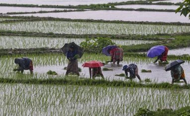 Farm sector hails forward looking budget, Tikait calls it 'empty-handed' Farmers, Farmer, agriculture