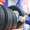 Shares of tyre companies rallied for a second consecutive day on Tuesday, with most of the big players registering cumulative gains of up to 6 per cent over the past two days.
