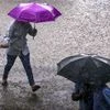 Rain, Maharashtra Rains, Nagpur rains