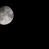 moon, full moon