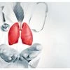 lungs