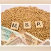 Maharashtra govt constitutes panel to study, implement MSP schemes MSP