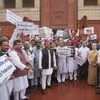 Protest, Parliament Protest, Budget Protest, Parliament