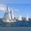 sailing, olympic sailing, paris olympics sailing, olympic sailing, paris olympics