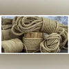 Jute sector Jute sector
