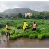 Agriculture, Monsoon, Farmers