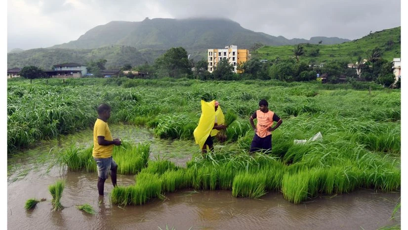 Agriculture, Monsoon, Farmers Agriculture, Monsoon, Farmers
