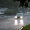 Debby, Tropical storm Debby