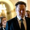 Elon Musk, Musk