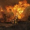 Canadian province declares emergency over wildfires as thousands flee