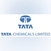 Tata Chemicals Q2FY25 results: Net profit narrows 55% to Rs 194 cr Tata Chemicals