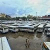 Private bus operators in Rajasthan on one-day strike, demand tax waiver