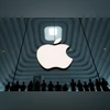Apple Apple