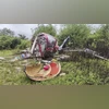 Hyderabad-bound private chopper crashes near Pune, all 4 occupants survive Pune helicopter crash
