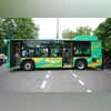 Delhi Mohalla buses still far from being deployed as vehicles yet to arrive Delhi Mohalla bus