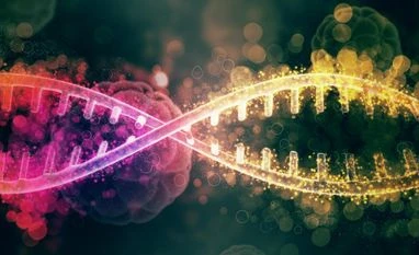 Y Chromosome Y Chromosome