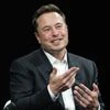Elon musk, musk, Elon