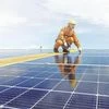 TP Solar crosses 4 GW of solar module production at its Tamil Nadu unit