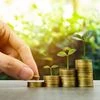 Saving, Save Money, Economy, Money
