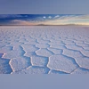 Centre allows private bids for salt land transfer if states, CPSEs opt out | India News Salt land