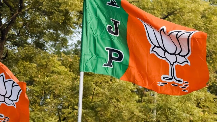 J-K poll: BJP's manifesto includes Rs 18K for elderly women, 500K jobs | News BJP Flag, BJP