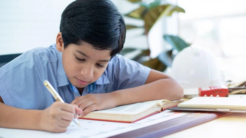 Student, Study, School Student, Study, School