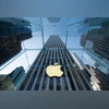 apple, apple logo apple, apple logo