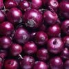 onion, onions, vegetable, Vegetables