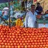 tomato, vegetable, vegetables, vendor
