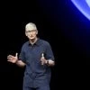 Tim Cook, Tim, cook, Apple, Apple CEO