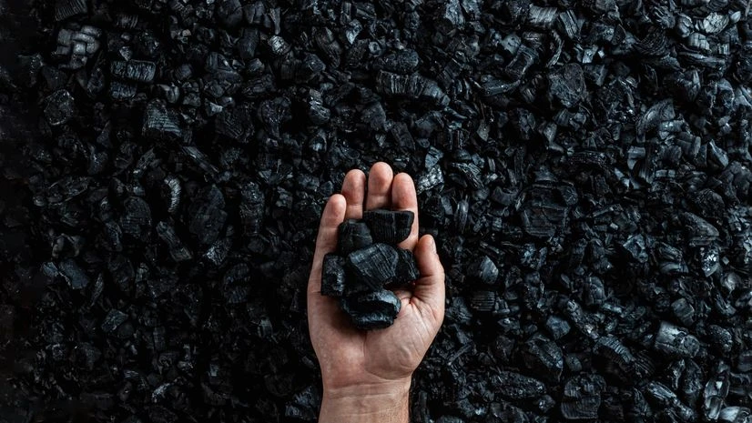 CIL's H1 FY25 contribution to govt exchequer falls slightly to Rs 28,930 cr | Company News Coal