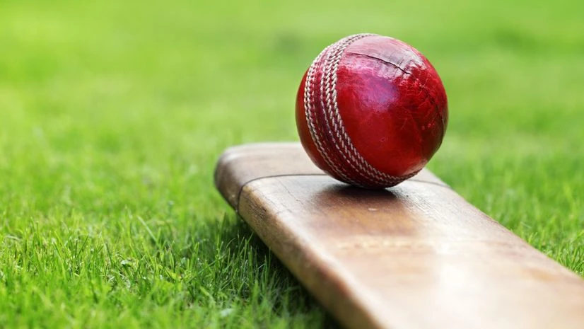 First Pakistani woman nominated to ICC as international cricket umpire | News Cricket, Bat, Ball, Bat Ball