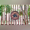 RBI bought net $6.93 billion in spot forex market in July: Bulletin data | Economy & Policy News RBI, Reserve Bank of India