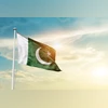 Over 100 persons killed in name of honour in Sindh from Jan to Jun in Pak Pakistan Flag, Pakistan