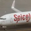 Spicejet