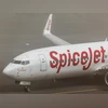 Spicejet Spicejet