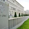 Global trade rebound may fade as export orders lose momentum, warns WTO